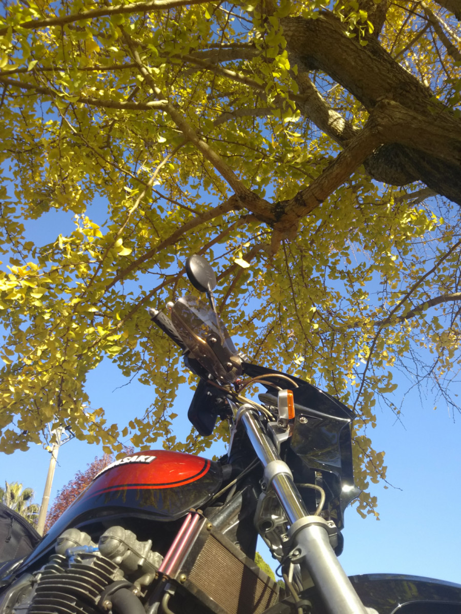kamoさんが投稿したバイクライフ