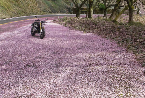 きたくさんが投稿した愛車情報(R nineT｜Rナインティ)