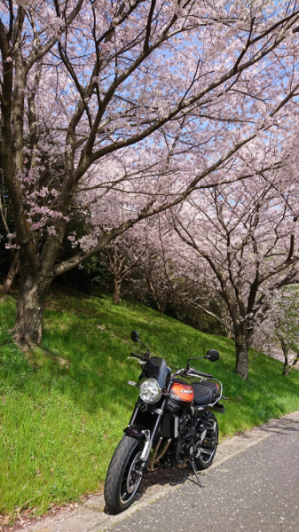 パンチさんが投稿した愛車情報(Z900RS)