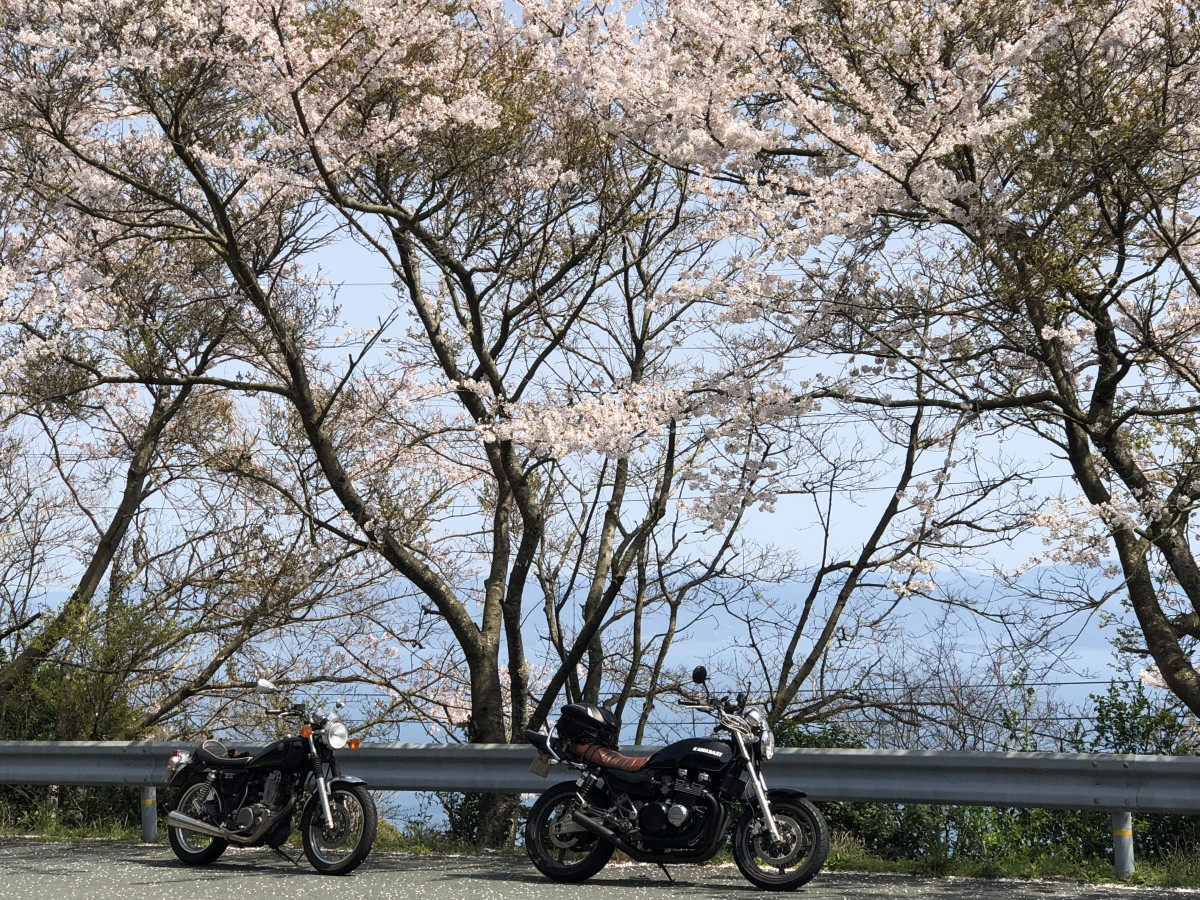 タツさんが投稿した愛車情報()