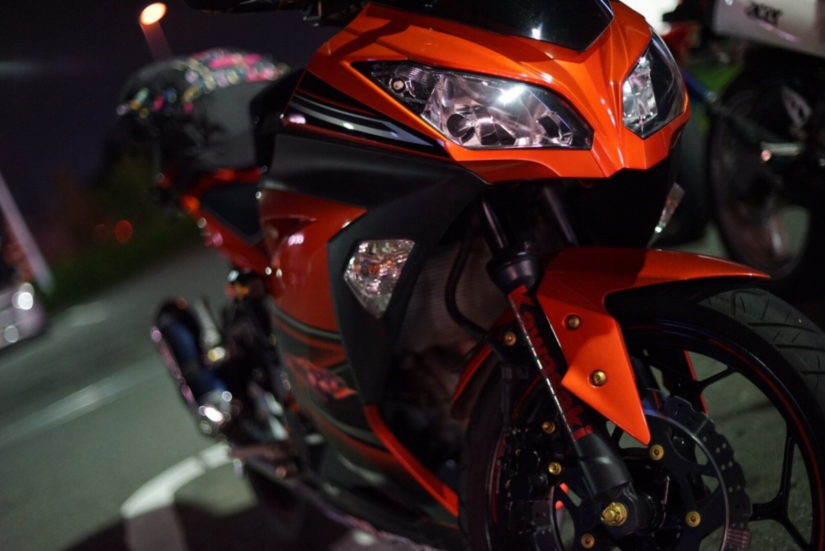 どーなっつさんが投稿した愛車情報(NINJA 250)