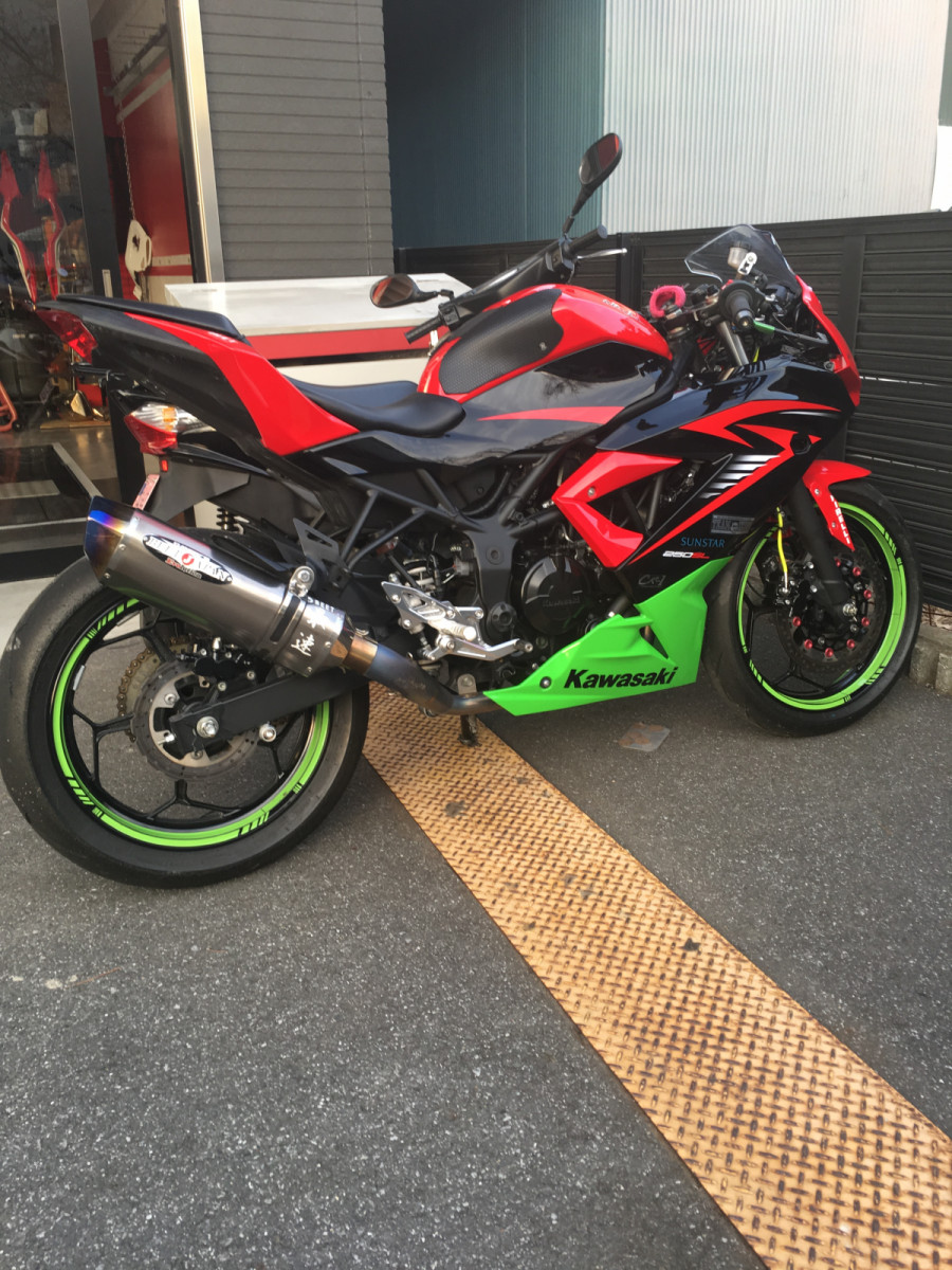 神龍さんが投稿した愛車情報(Ninja 250SL)