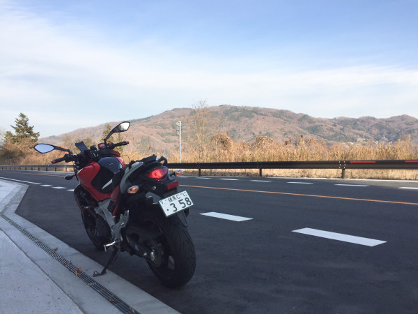ブラックストーンずさんが投稿した愛車情報(GLADIUS 400｜グラディウス400)