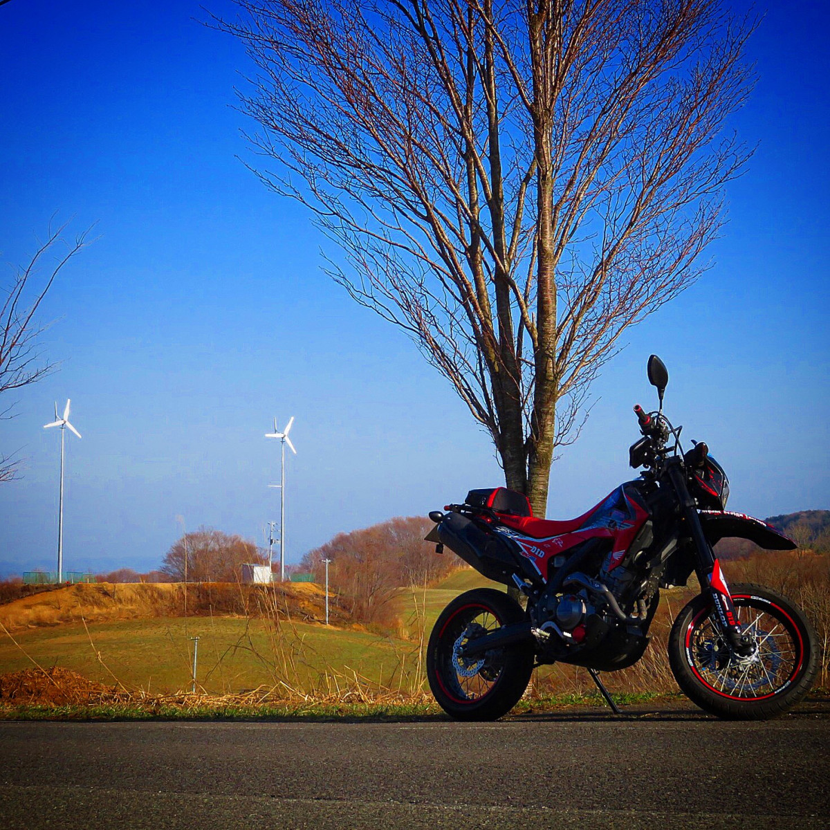 さんが投稿した愛車情報()