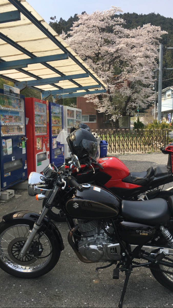 ★tae.★さんが投稿した愛車情報(ST250Etype)