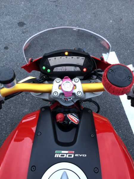 琵琶湖 太郎さんが投稿した愛車情報(Monster 1100 EVO｜モンスター1100EVO)