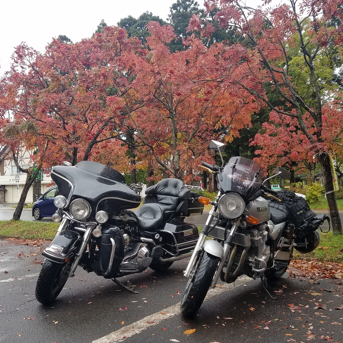 けんけんさんが投稿した愛車情報(XJR1300)