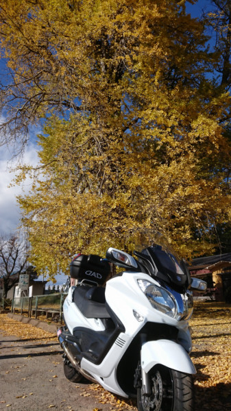 Kenさんが投稿した愛車情報(SKYWAVE 650)