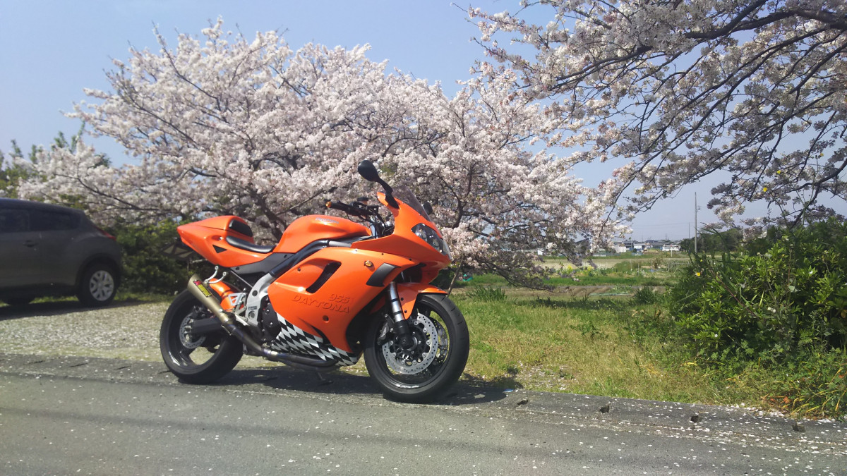 しんたろうさんが投稿した愛車情報(Daytona 955i｜デイトナ955i)