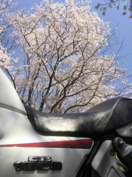 オザワンさんが投稿した愛車情報(CB1300 SUPER FOUR｜CB1300スーパーフォア（CB1300SF))