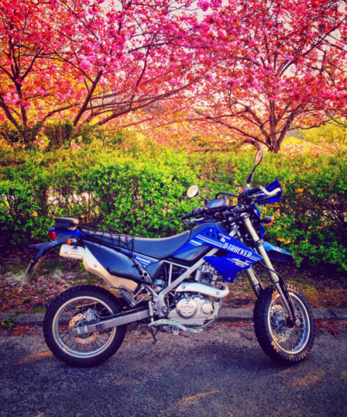 Lucaさんが投稿した愛車情報(D-TRACKER 125｜Dトラッカー125)