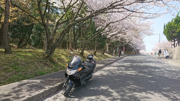 さんが投稿した愛車情報(SKYWAVE 250 TYPE S)
