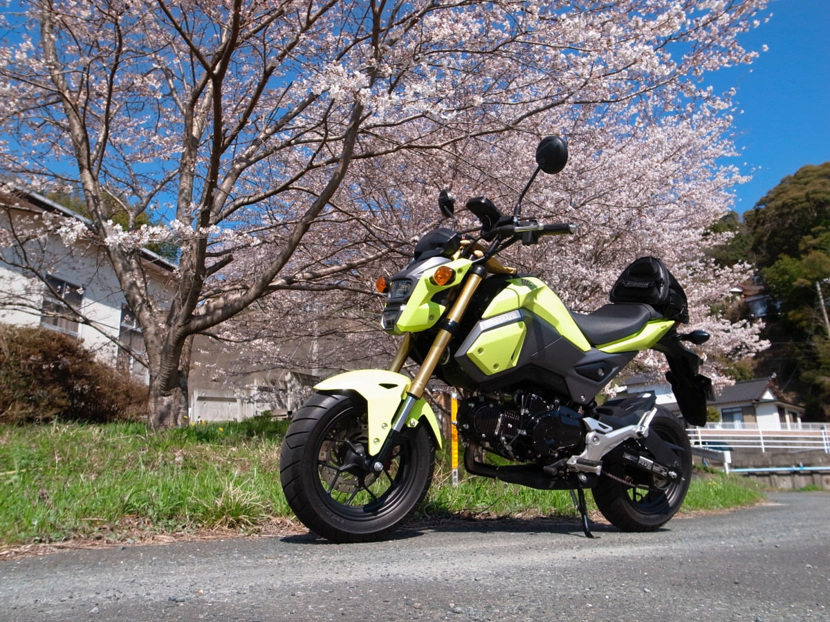 yellowgromさんが投稿した愛車情報(GROM｜グロム)