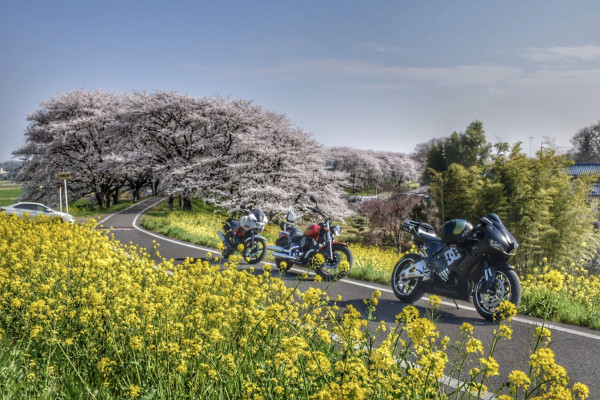 さこさんが投稿した愛車情報(CBR600RR)