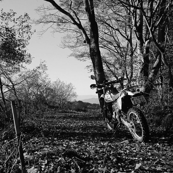 bajaカブ親父さんが投稿した愛車情報(XR250 BAJA｜XR250バハ)