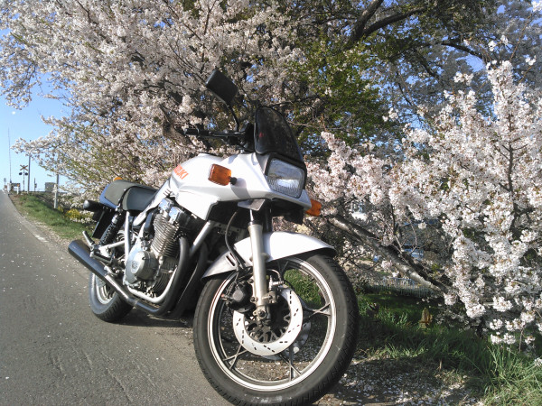 ケントさんが投稿した愛車情報(GSX1100S KATANA｜GSX1100Sカタナ)