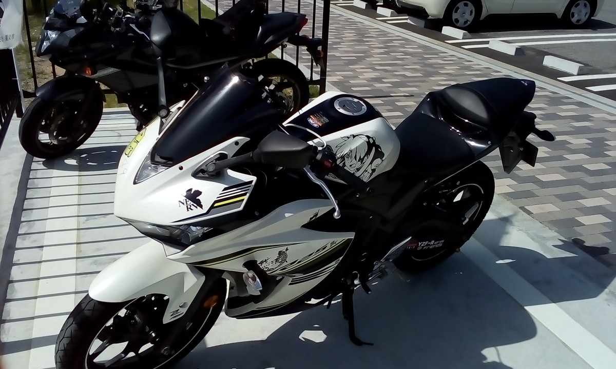 YAMAさんさんが投稿した愛車情報(YZF-R25)