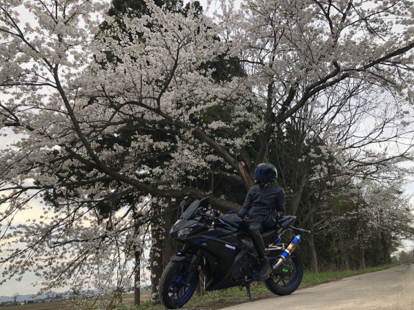 r.kさんが投稿した愛車情報(YZF-R25)