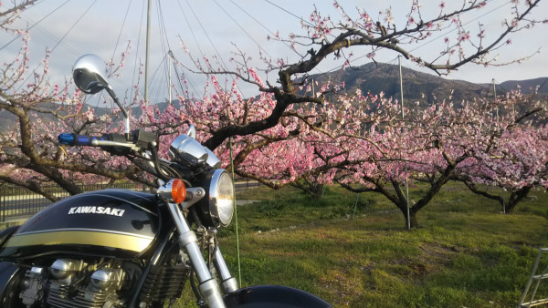 フクちゃんさんが投稿した愛車情報(ZEPHYR 750｜ゼファー750)