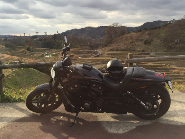 高田羅司太さんが投稿した愛車情報(V-Rod VRSCDX Night Rod Special｜Vロッド VRSCDX ナイトロッドスペシャル)