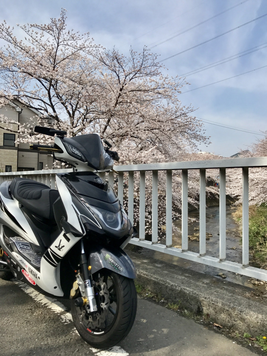 ぐしくんさんが投稿した愛車情報(CYGNUS X｜シグナスX)