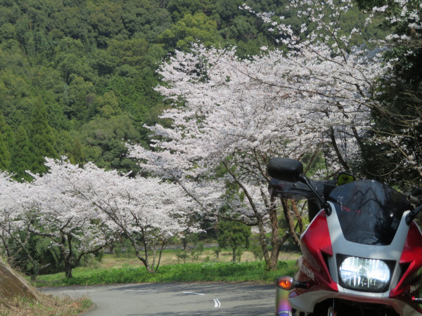 イデオンさんが投稿した愛車情報(CB1300 SUPER BOL D'OR｜CB1300スーパーボルドール)