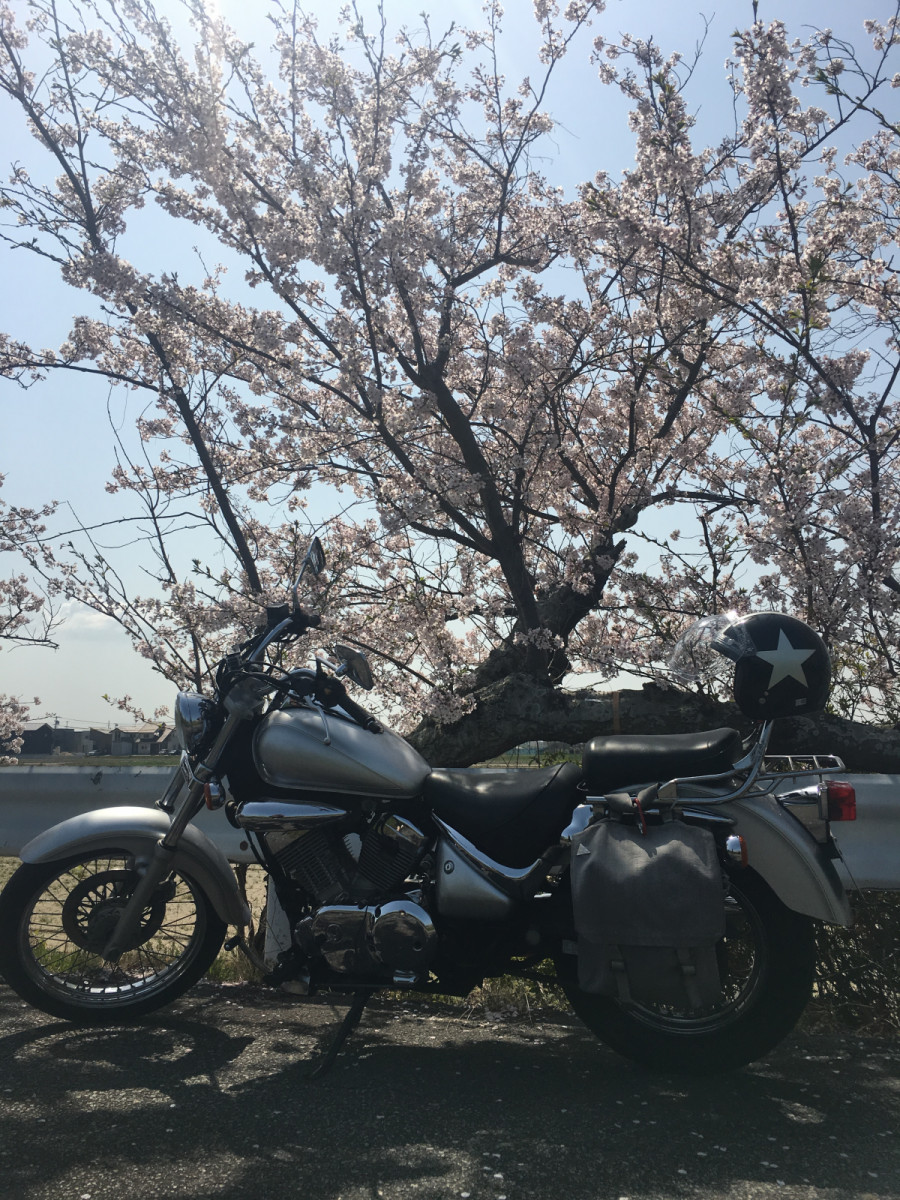 ガッキーさんが投稿した愛車情報()