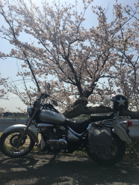 ガッキーさんが投稿した愛車情報()