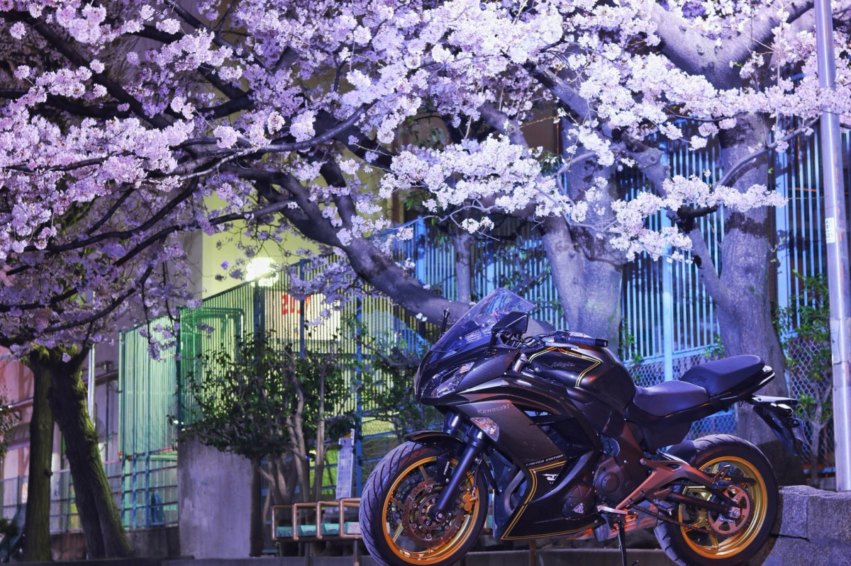 投稿詳細｜MOTOCLE