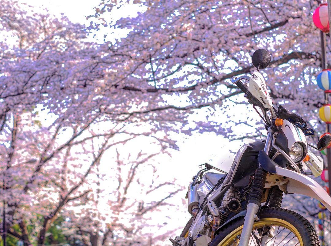 kzさんが投稿した愛車情報(SEROW 250｜セロー250)