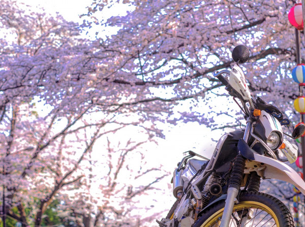 kzさんが投稿した愛車情報(SEROW 250｜セロー250)