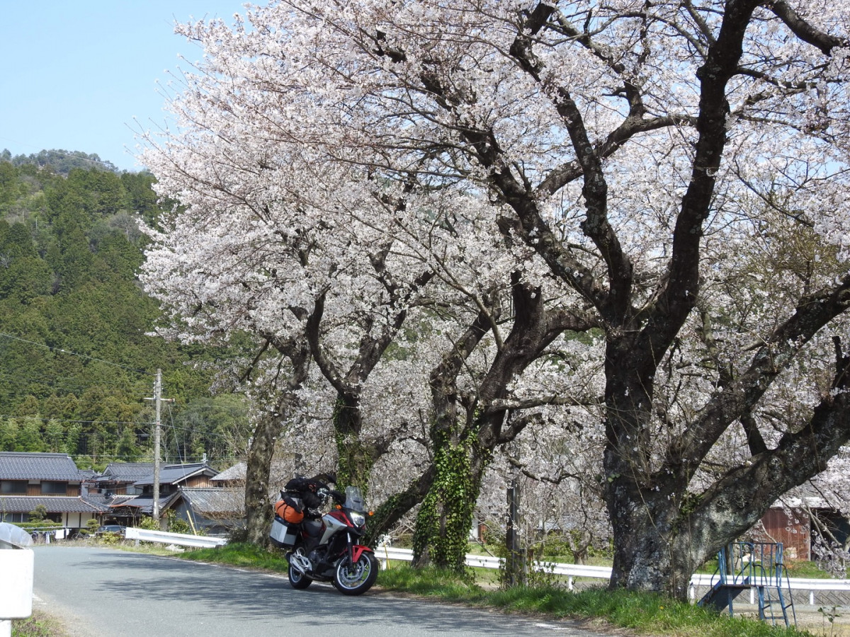 マーベルさんが投稿した愛車情報(NC750X)