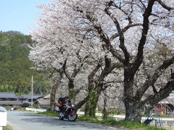 マーベルさんが投稿した愛車情報(NC750X)