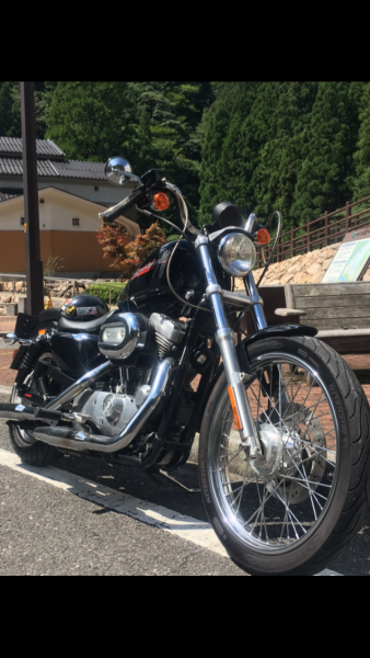 ロカビリーリーゼントさんが投稿した愛車情報(Sportster XL883｜スポーツスター XL883)