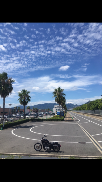 ロカビリーリーゼントさんが投稿した愛車情報(Sportster XL883｜スポーツスター XL883)