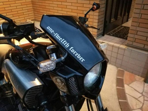 蛇さんが投稿した愛車情報(VMAX)