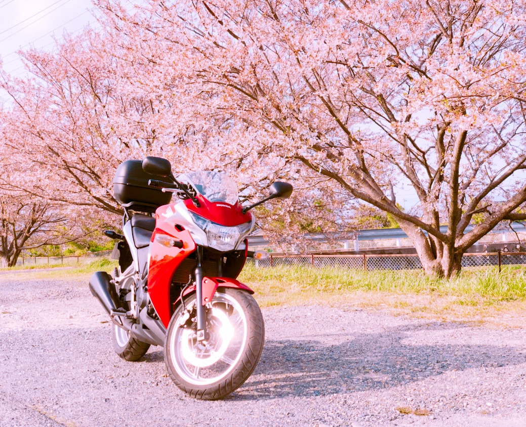 イートンさんが投稿した愛車情報(CBR250R)