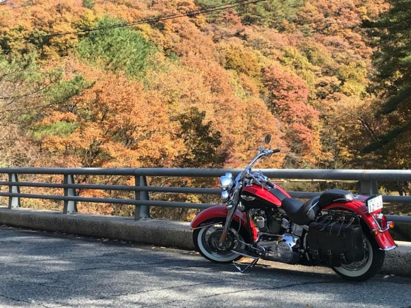 ヒロさんが投稿した愛車情報(FLSTN Softail Deluxe｜FLSTN ソフテイルデラックス)