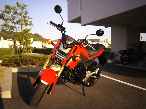 ぺんさんが投稿した愛車情報(GROM|グロム)
