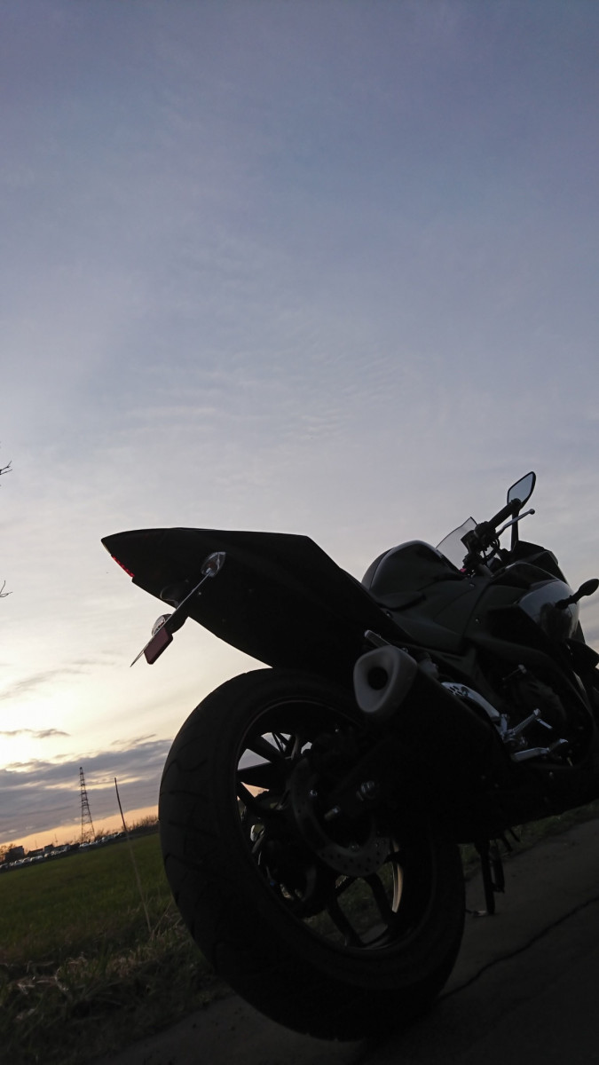 canさんが投稿した愛車情報(YZF-R25)
