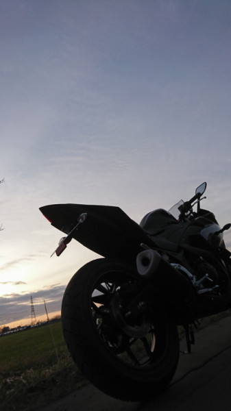 canさんが投稿した愛車情報(YZF-R25)