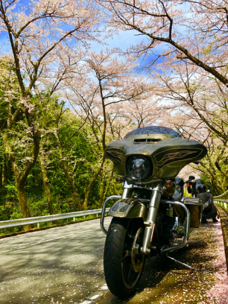 Tommyさんが投稿した愛車情報(FLHXS Street Glide Special｜FLHXS ストリートグライドスペシャル)