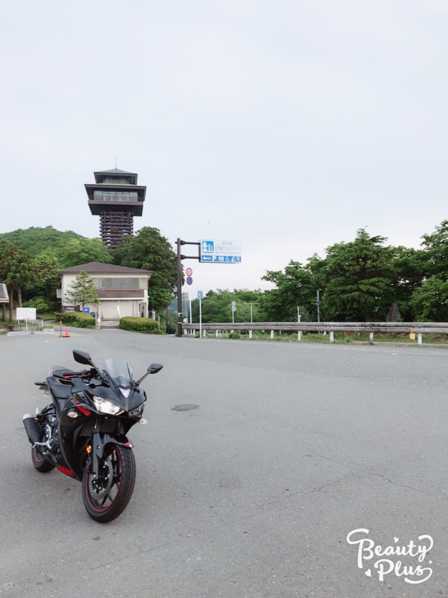 ☆リラックマン☆さんが投稿した愛車情報(YZF-R25)