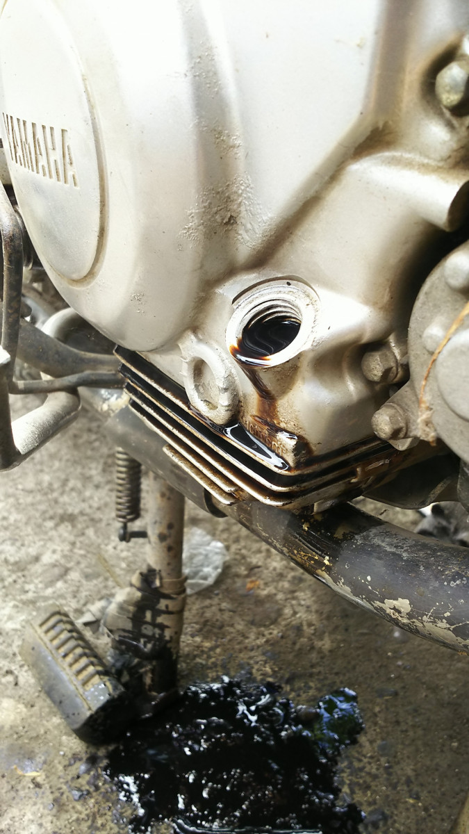 Veronicaさんが投稿した愛車情報(YBR125G)
