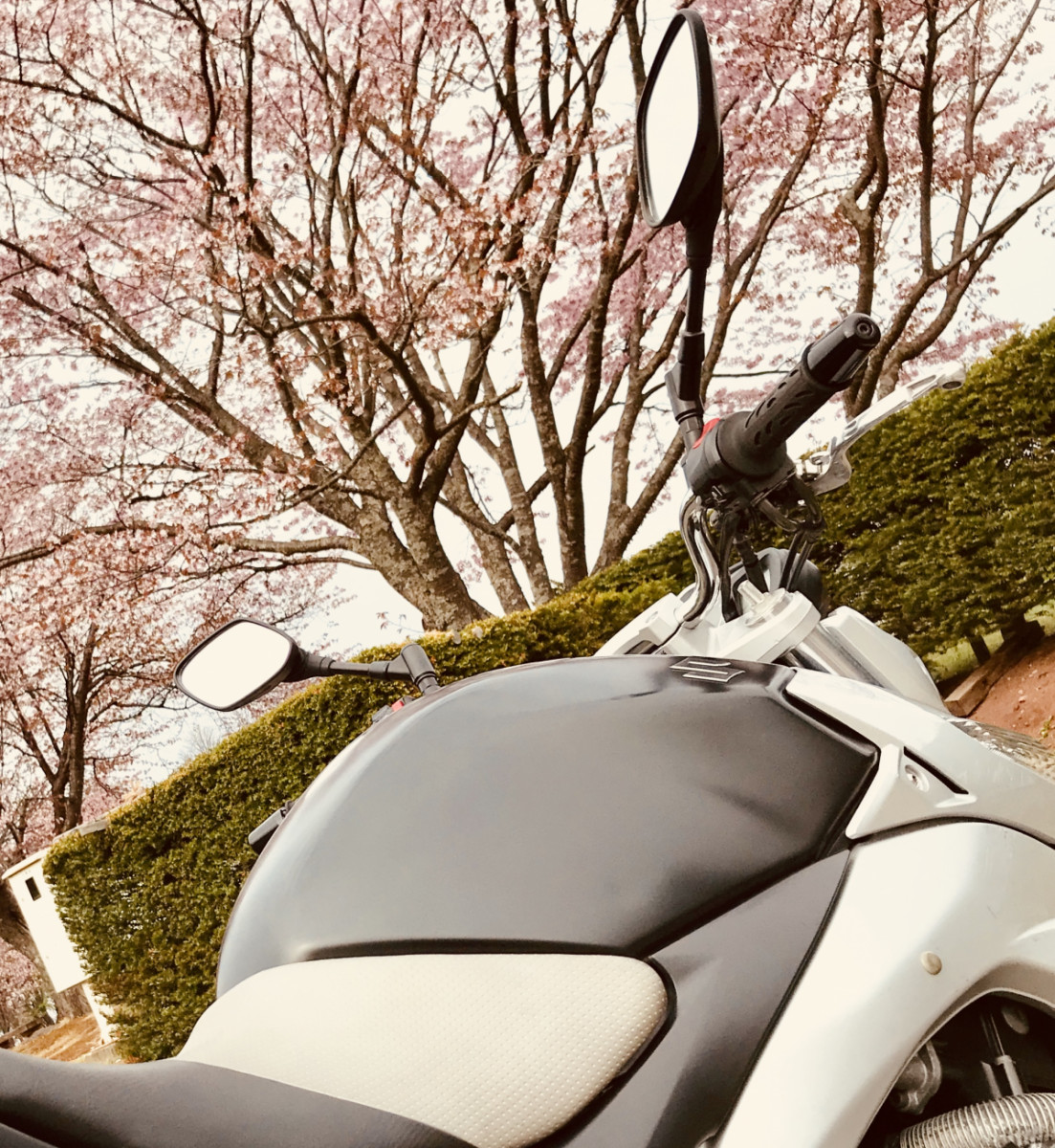 GOUさんが投稿した愛車情報(GSR400)