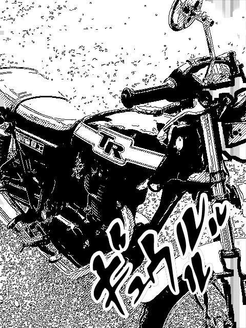 きんさんが投稿した愛車情報(250TR)