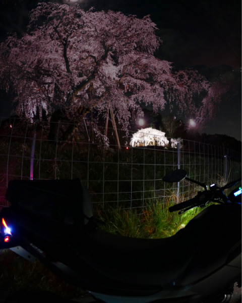 ＫＯＮＴＡさんが投稿したバイクライフ