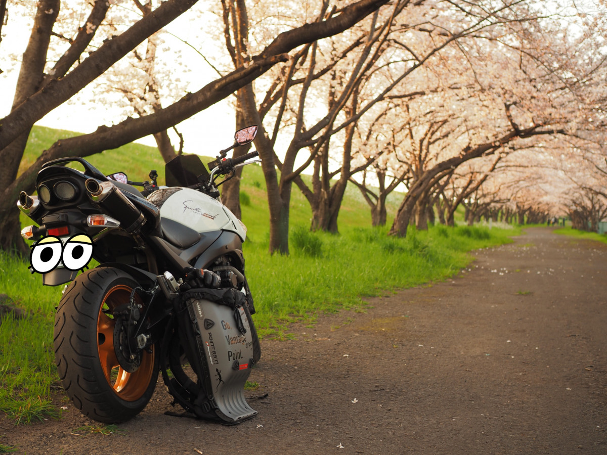 さんが投稿したバイクライフ