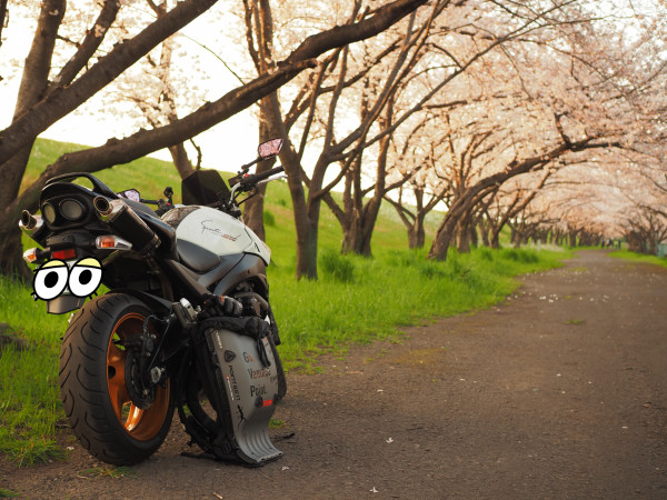 さんが投稿したバイクライフ
