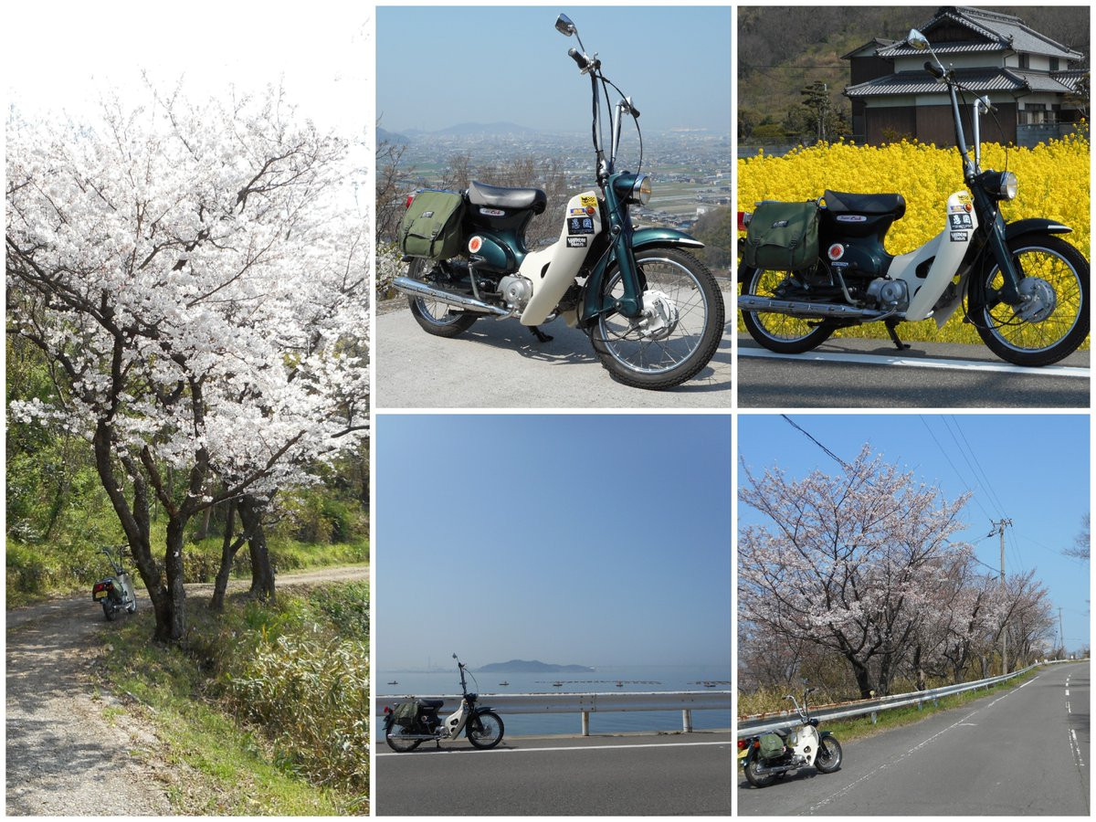 モヒモヒさんが投稿したバイクライフ